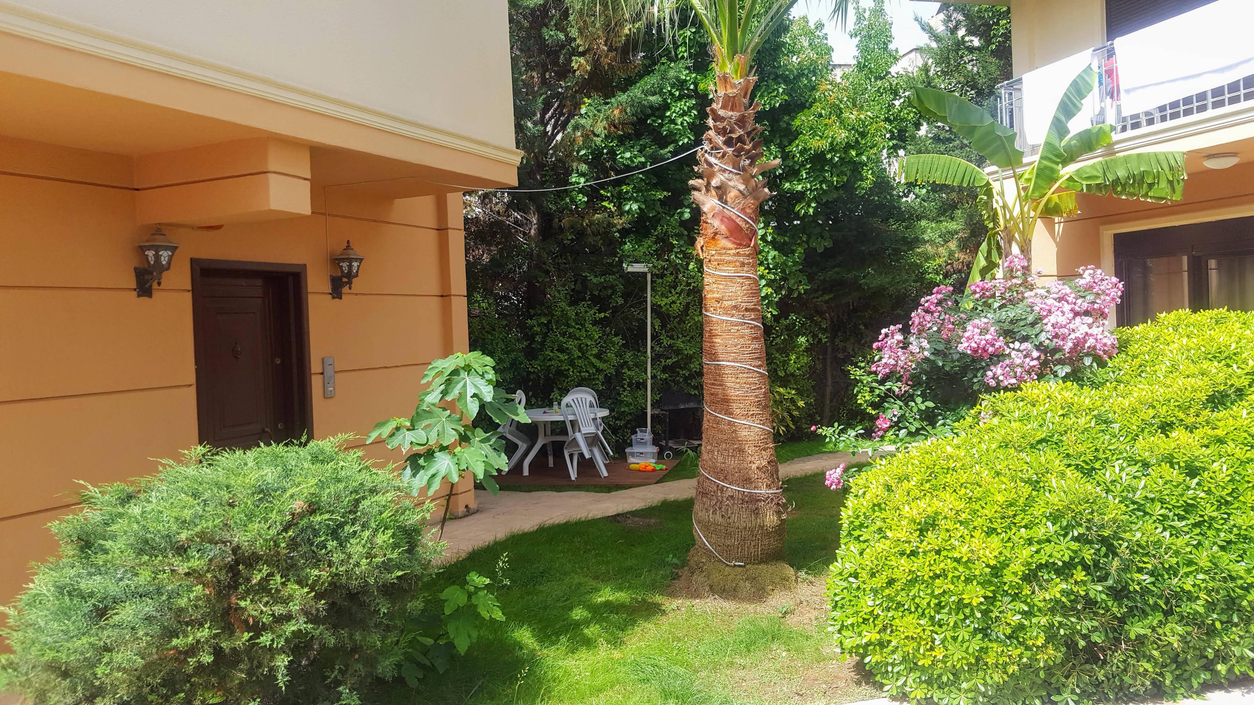 The Wind Sycamore In Hotel Belek