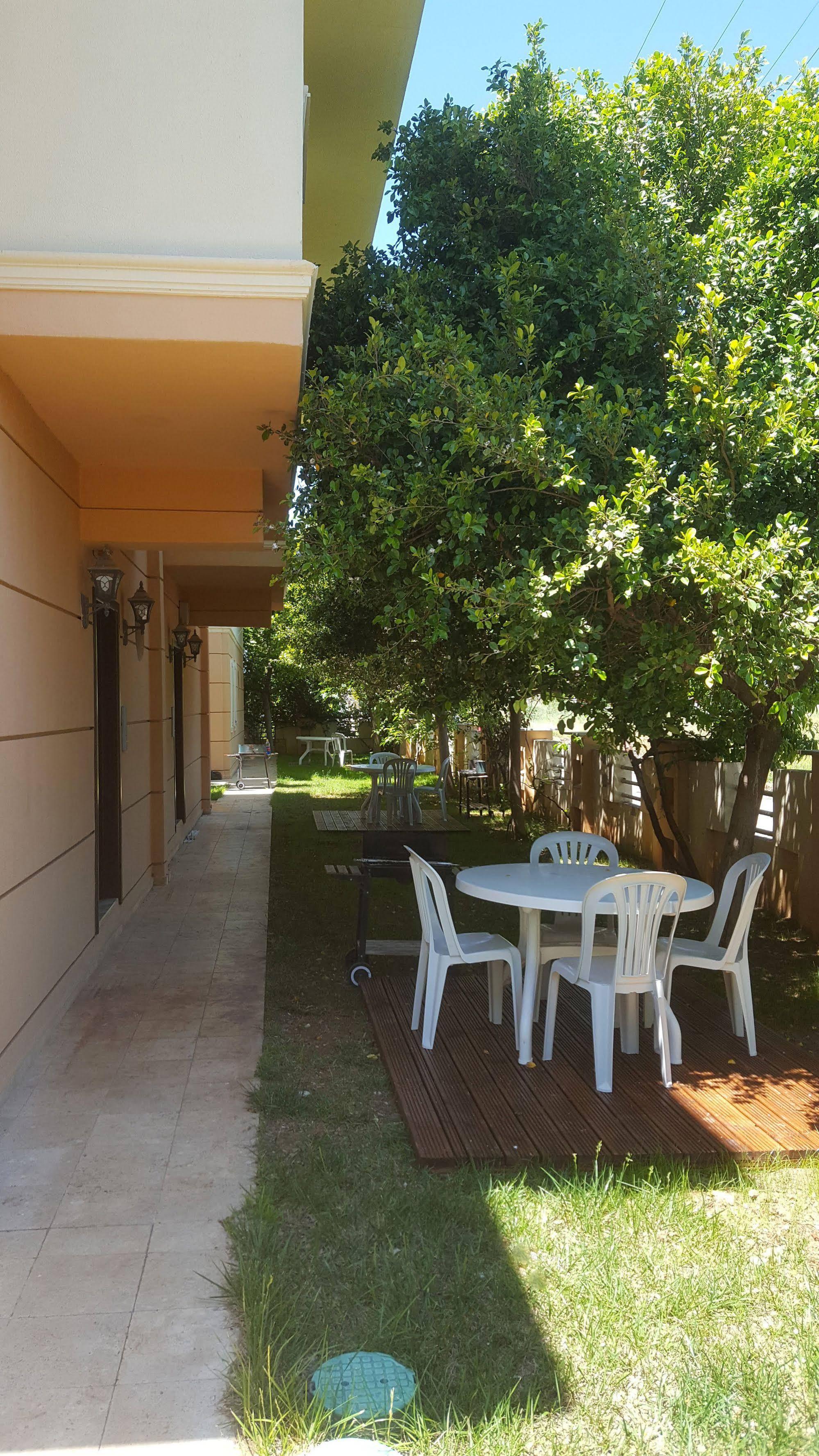 The Wind Sycamore In Hotel